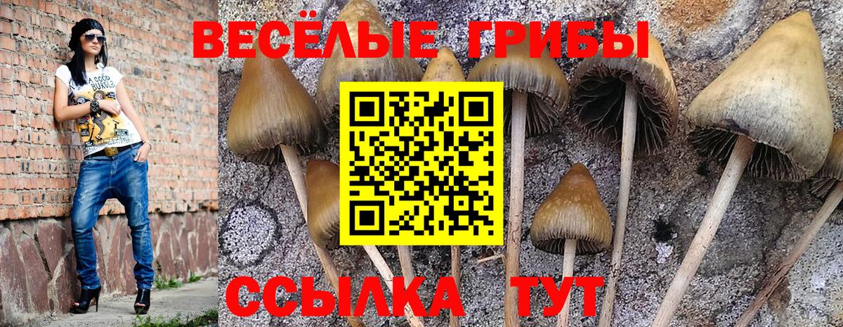 Октябрьский  купить закладку  Вход с VPN  Псилоцибиновые грибы прущие грибы 
